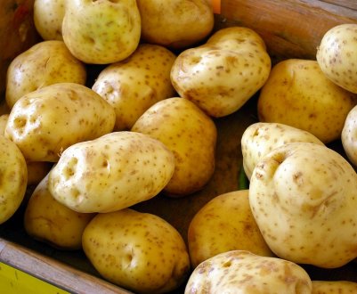 В Україні почали знижуватися ціни на картоплю