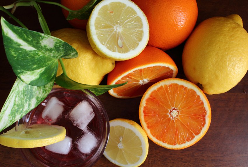 На світовому ринку наближається хвиля турецьких грейпфрутів і мандаринів На світовому ринку наближається хвиля турецьких грейпфрутів і мандаринів