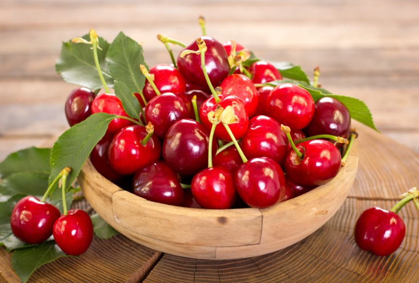 Українська черешня, вирощена в закритому грунті, може бути продана у 8 разів дорожче звичайної Українська черешня, вирощена в закритому грунті, може бути продана у 8 разів дорожче звичайної