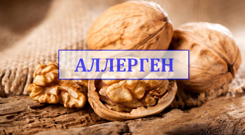 Аллергия на грецкие орехи