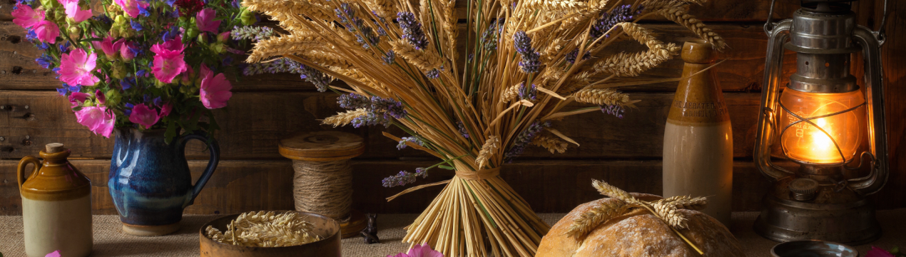 Псковские хлібороби за рік стали набагато продуктивніше