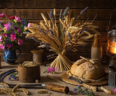 Псковские хлібороби за рік стали набагато продуктивніше