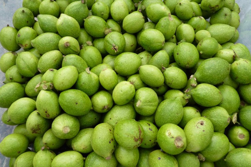 Зелёный грецкий орех