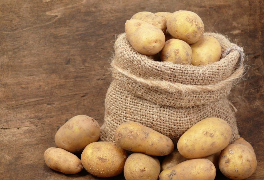 Виробники вимагають припинення реекспорту російського картоплі в Україну Виробники вимагають припинення реекспорту російського картоплі в Україну