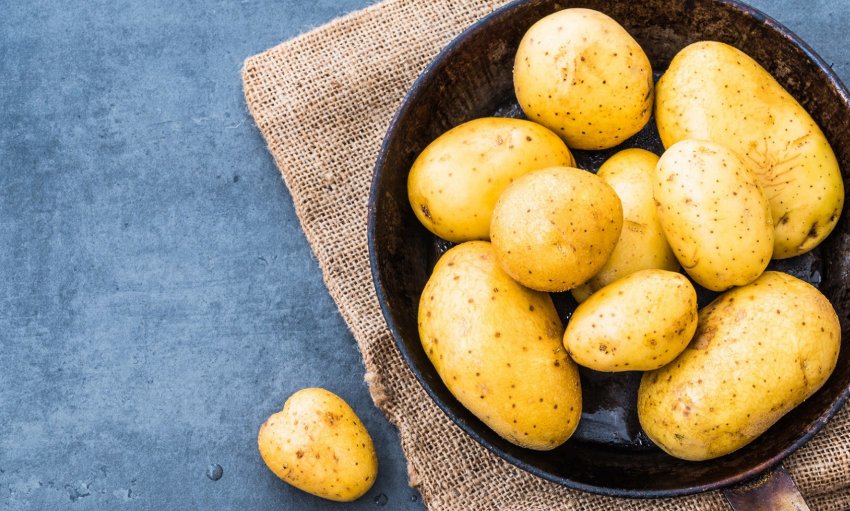 Виробники вимагають припинення реекспорту російського картоплі в Україну Виробники вимагають припинення реекспорту російського картоплі в Україну