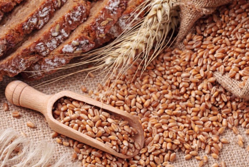 Поляки шукають в Україні постачальників органічного зерна Поляки шукають в Україні постачальників органічного зерна