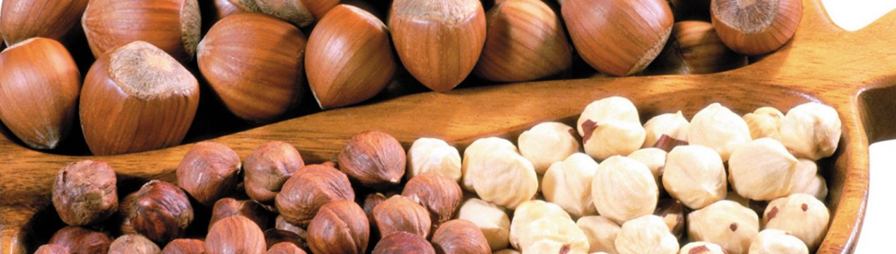 Чи можна вагітним фундук