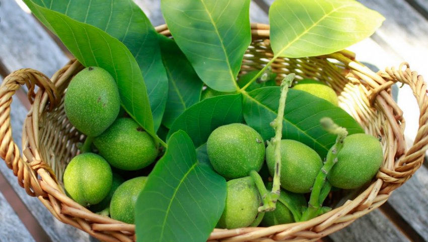 Волоські горіхи Волоські горіхи