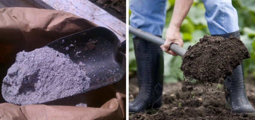 Підготовка грунту Підготовка грунту