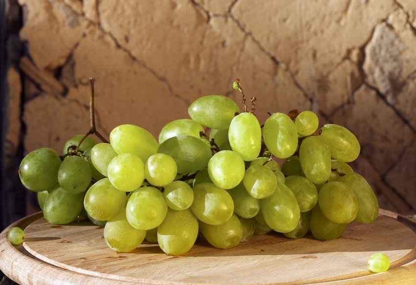 Узбецькі виноградарі стали частиною міжнародної організації Узбецькі виноградарі стали частиною міжнародної організації