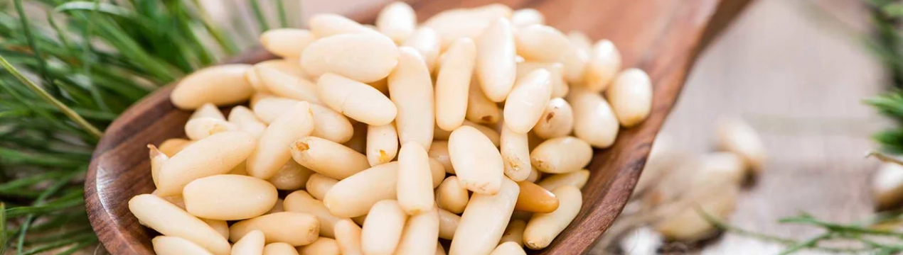 Користь і шкода кедрових горіхів для організму