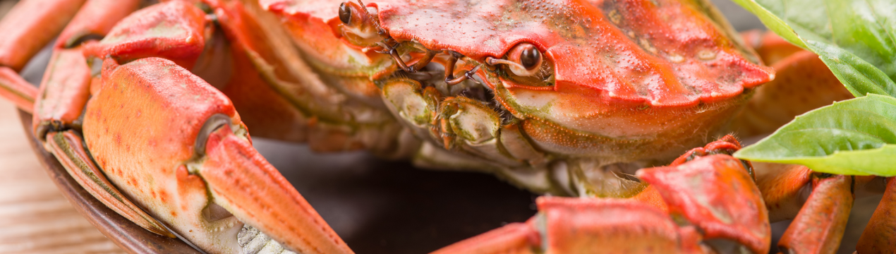 Все більше російських крабів виявляється на столі американських гурманів