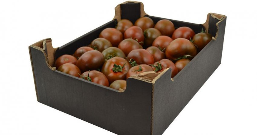 Чорні помідори Кумато Чорні помідори Кумато