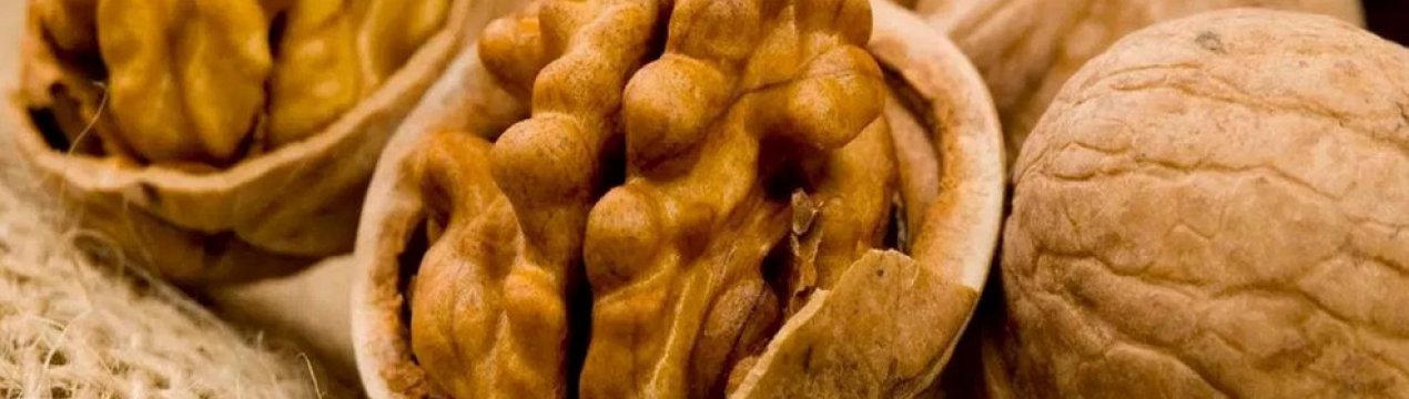 Можна волоські горіхи годуючій мамі