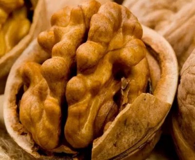 Можна волоські горіхи годуючій мамі