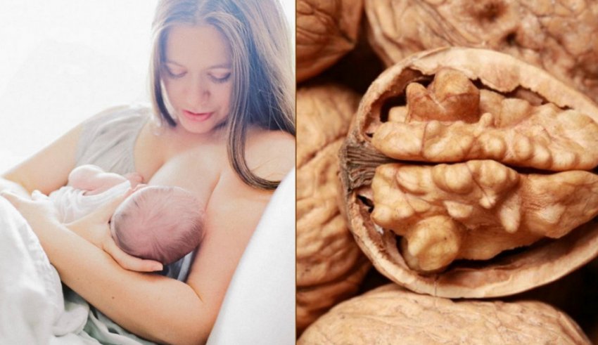 Волоські горіхи при гв