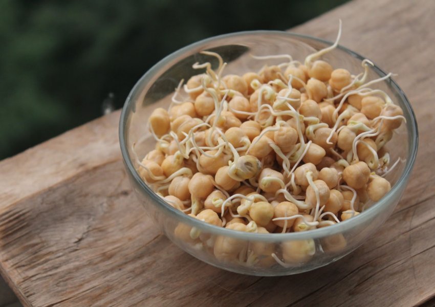 Поля українського господарства будуть охороняти квадрокоптеры Поля українського господарства будуть охороняти квадрокоптеры