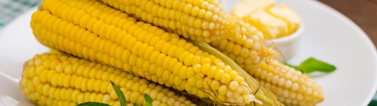 Кіровоградські агропідприємства постраждали від навали західного кукурудзяного жука