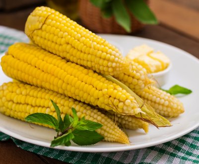 Кіровоградські агропідприємства постраждали від навали західного кукурудзяного жука