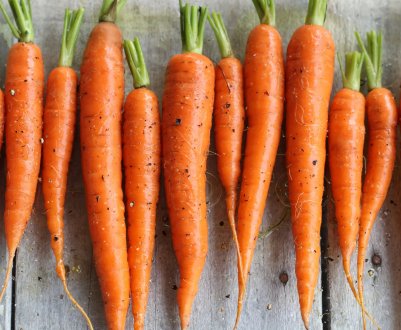 На російському ринку дорожчає «довгограюча» морква