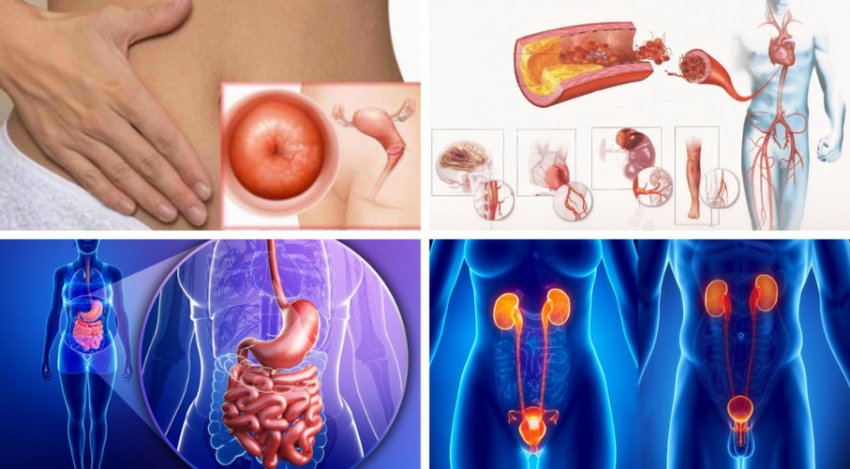 Показання до вживання волоських горіхів Показання до вживання волоських горіхів