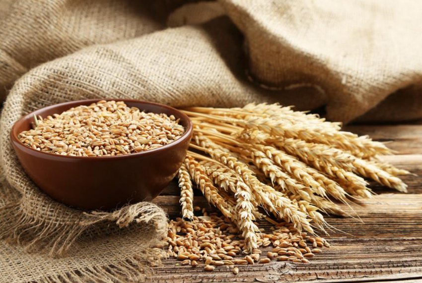 Казахські аграрії почали швидше рухатись по полю