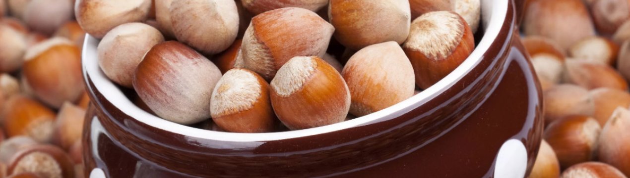 Користь і шкода ліщини та її кори