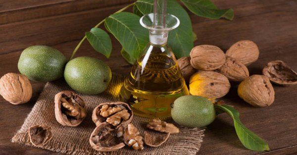 Настойка грецкого ореха – полезные свойства и применение