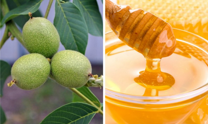 Ингредиенты для рецепта с мёдом