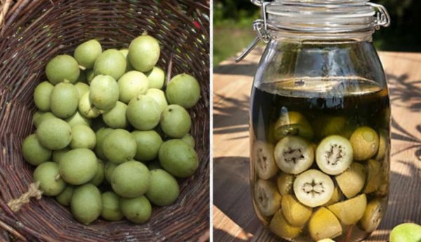 Польза зеленого грецкого ореха на водке применение thumbnail