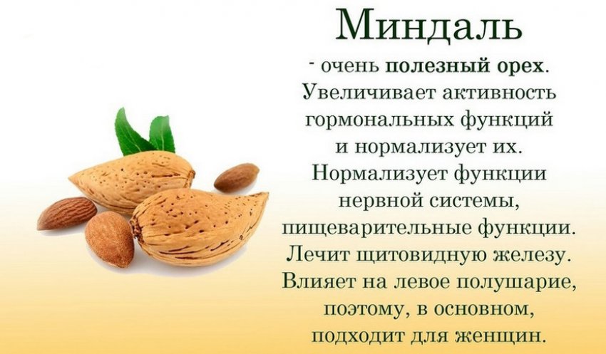 Польза миндаля