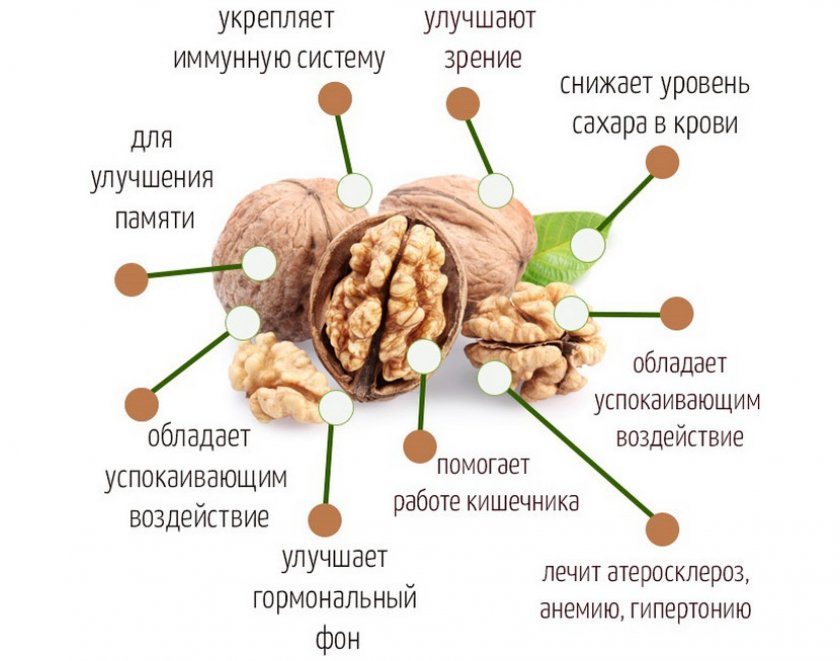 Могут ли грецкие орехи вызывать запор thumbnail