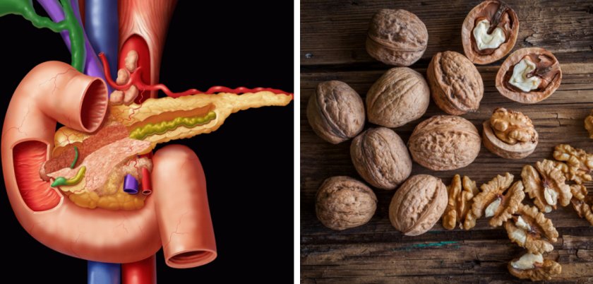 Орехи грецкие полезные для поджелудочной железы thumbnail