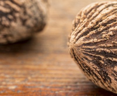 Застосування чорного горіха від паразитів