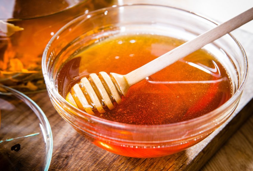 Виробництво меду в Харківській області скоротилося на 50 відсотків Виробництво меду в Харківській області скоротилося на 50 відсотків