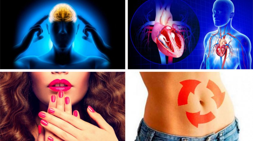 Благотворний вплив кешью на організм Благотворний вплив кешью на організм