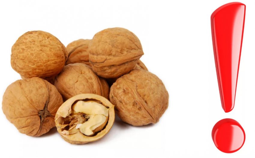 Протипоказання горіхів