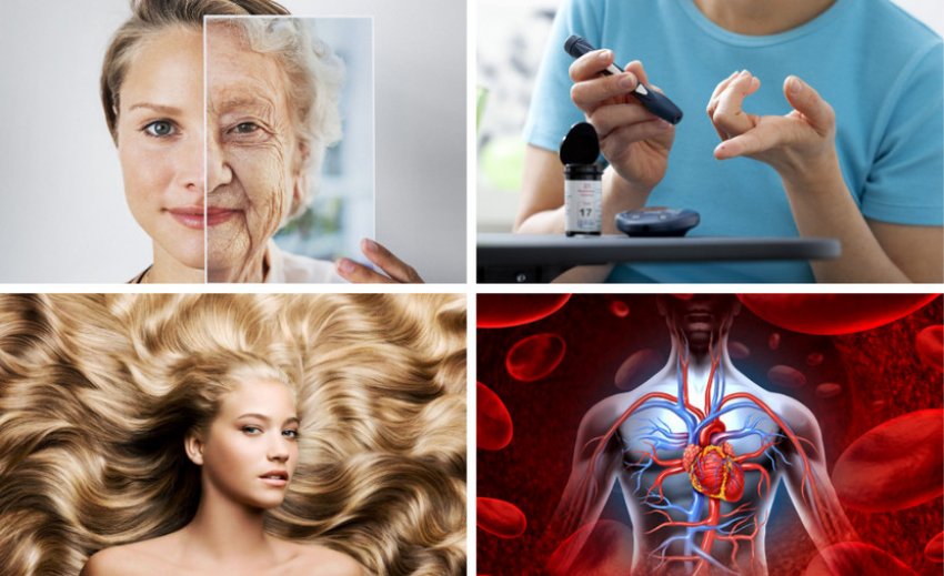 Благотворний вплив горіхового масла на організм