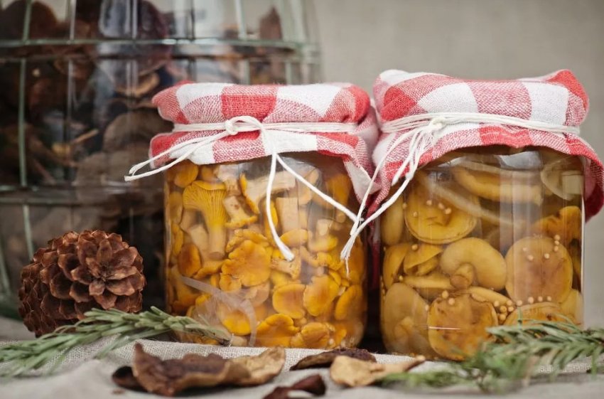 Консервація грибів Консервація грибів