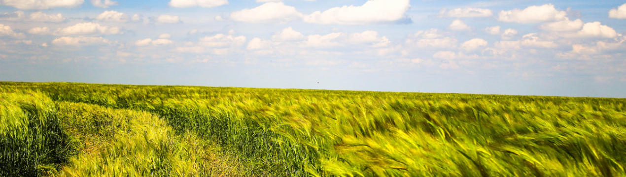 Перспективним російським аграріям подарували 70 тисяч «футбольних полів»