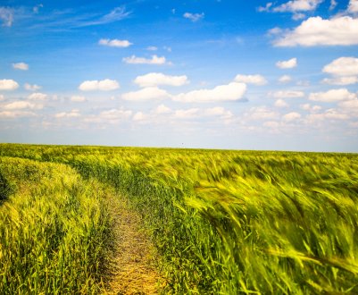 Перспективним російським аграріям подарували 70 тисяч «футбольних полів»