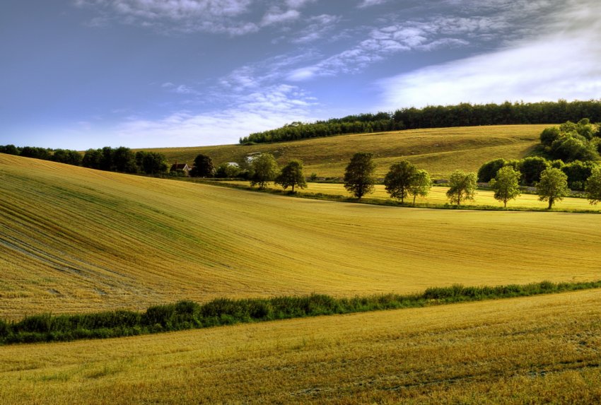 Перспективним російським аграріям подарували 70 тисяч «футбольних полів»