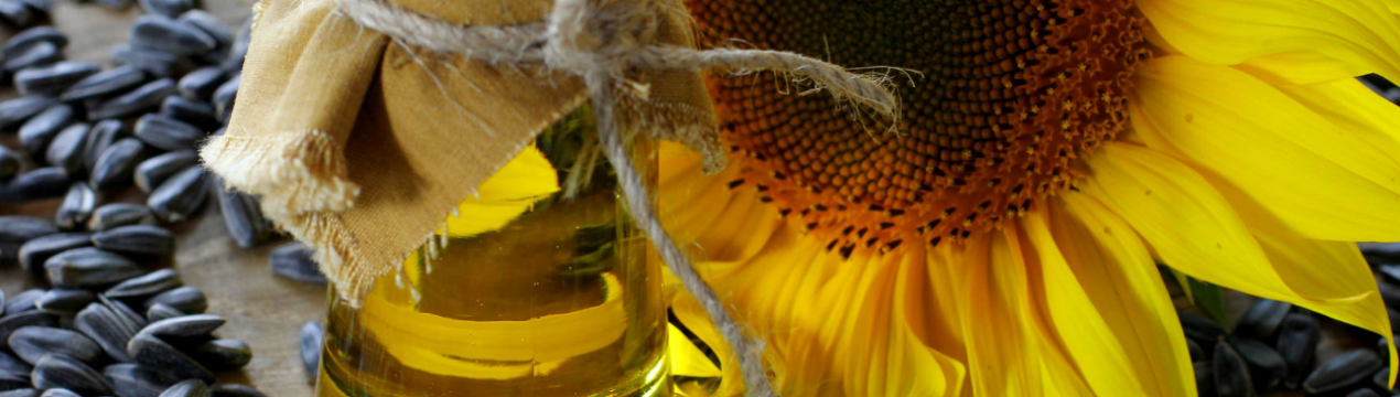 На кримських полях взялися за соняшники