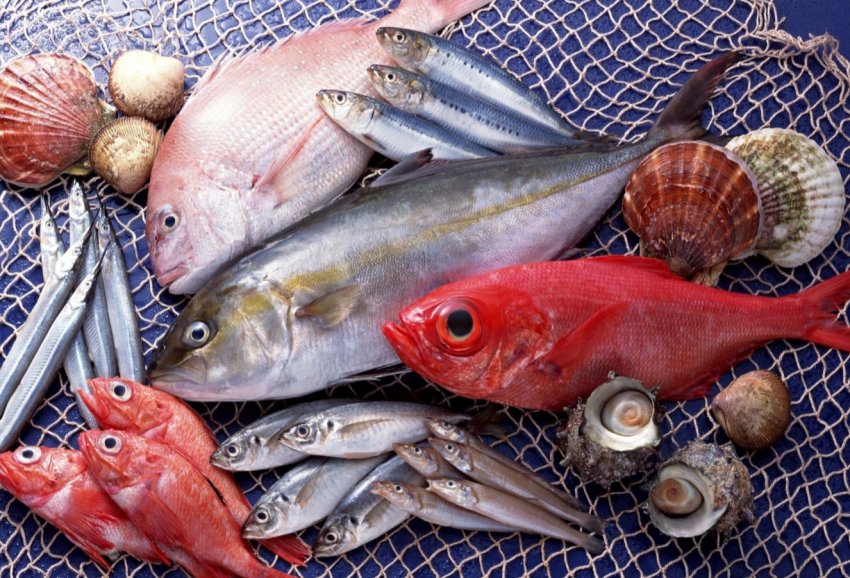 Новий завод забезпечив Мурманську область рибним фаршем, смачними стейками і робочими місцями Новий завод забезпечив Мурманську область рибним фаршем, смачними стейками і робочими місцями