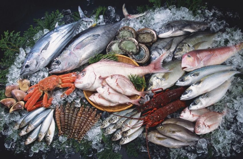 Новий завод забезпечив Мурманську область рибним фаршем, смачними стейками і робочими місцями Новий завод забезпечив Мурманську область рибним фаршем, смачними стейками і робочими місцями