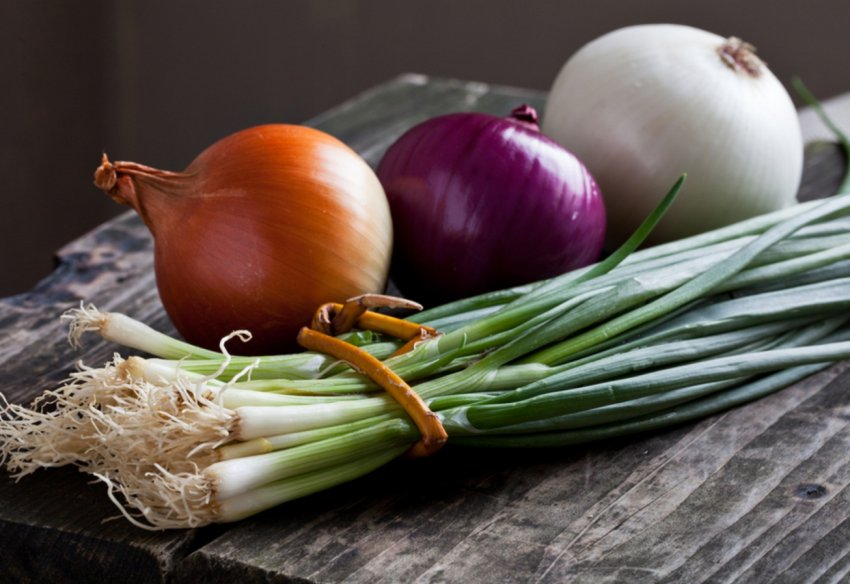 Німецькі аграрії тестують новий тип лукохранилища Німецькі аграрії тестують новий тип лукохранилища