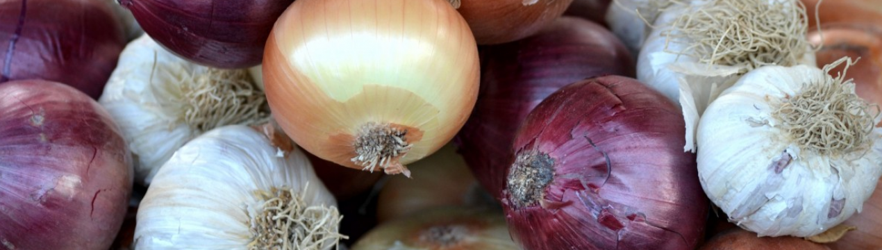 Німецькі аграрії тестують новий тип лукохранилища