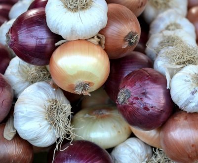 Німецькі аграрії тестують новий тип лукохранилища