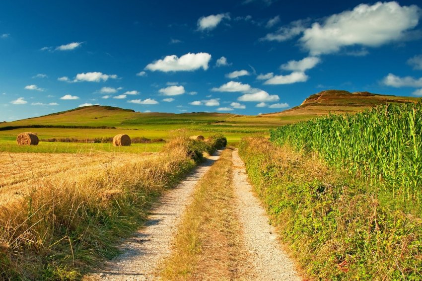 В ЄС мають намір полегшити долю постраждалих від посухи фермерів