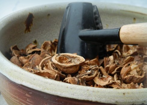 Корисний відвар з шкаралупи волоського горіха